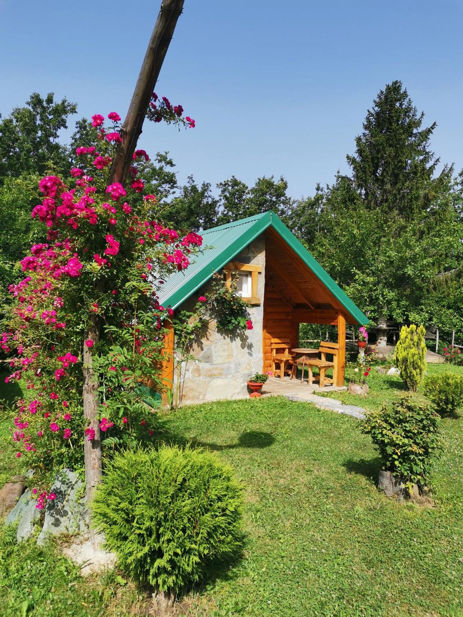 מויקובאץ Gazela Bungalov 2 מראה חיצוני תמונה