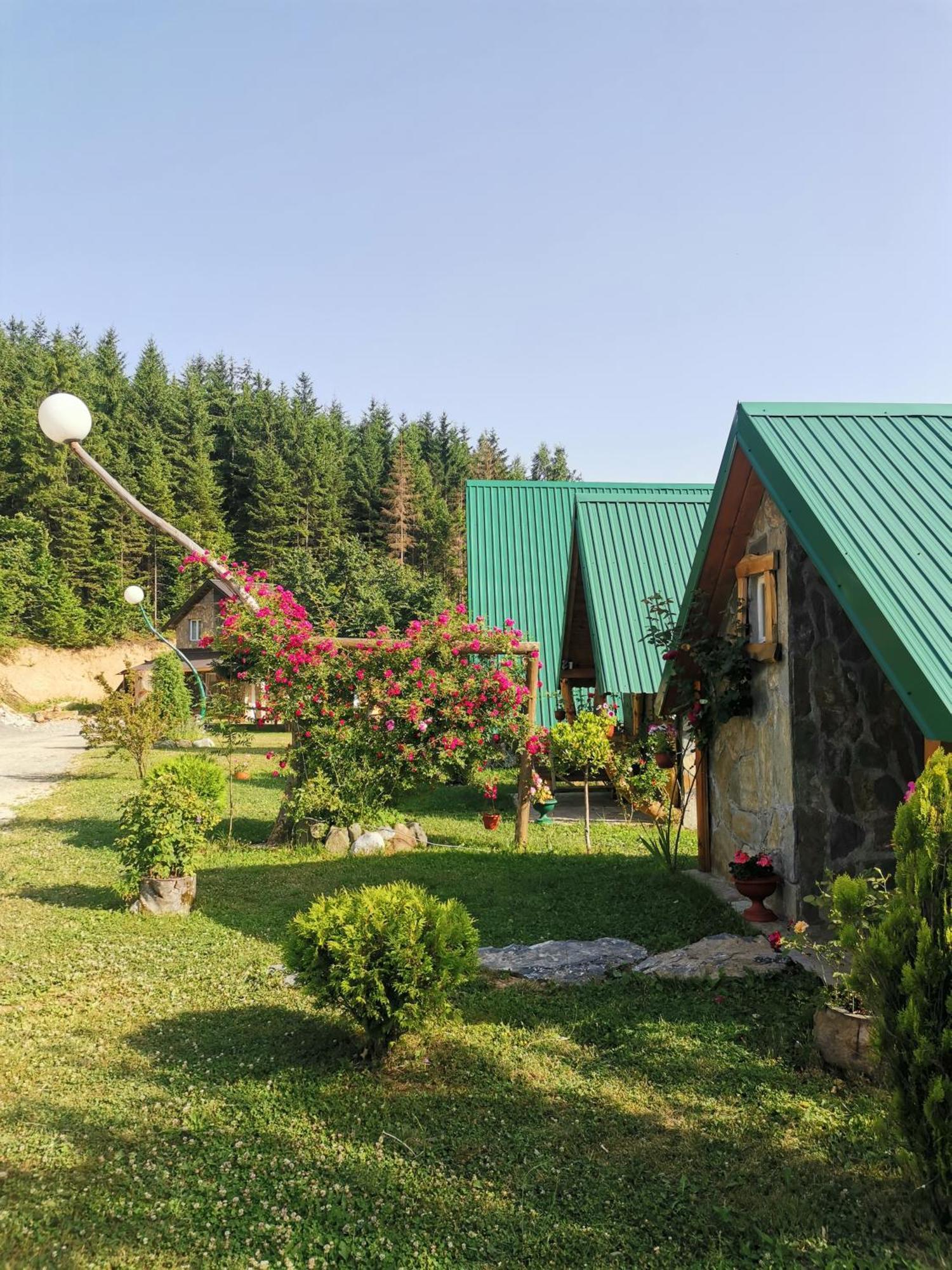 מויקובאץ Gazela Bungalov 2 מראה חיצוני תמונה